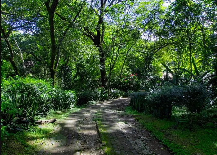 Cabinas La Fulanita 3*